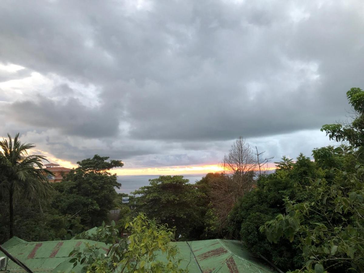 Cockatoo Studio Apartments Manuel Antonio Εξωτερικό φωτογραφία