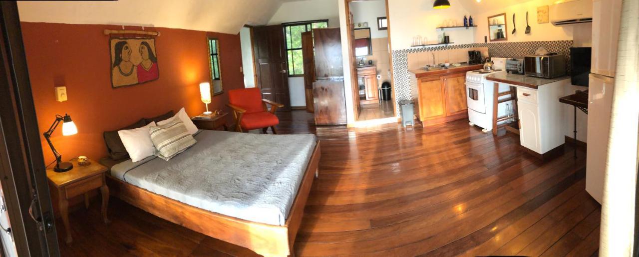 Cockatoo Studio Apartments Manuel Antonio Εξωτερικό φωτογραφία