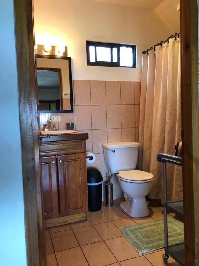 Cockatoo Studio Apartments Manuel Antonio Εξωτερικό φωτογραφία